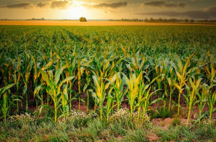 Auflieger verselbständigt sich: Vollsperrung bei Aalen - LKW-News aktuell und informativ