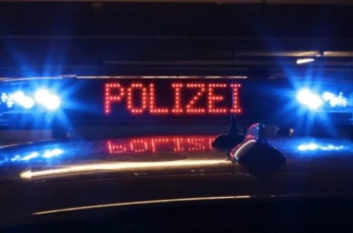 Basel: Verletzte bei Busunfall-Notbremsung – Motorradfahrer/-in gesucht! - LKW-News aktuell und informativ