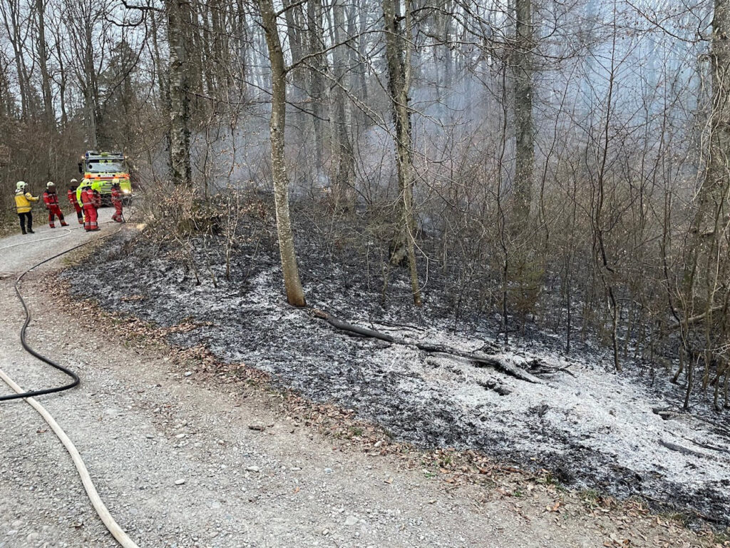 Oberneunforn (TG): Brand von Waldboden – Zeugenaufruf - LKW-News aktuell und informativ 2