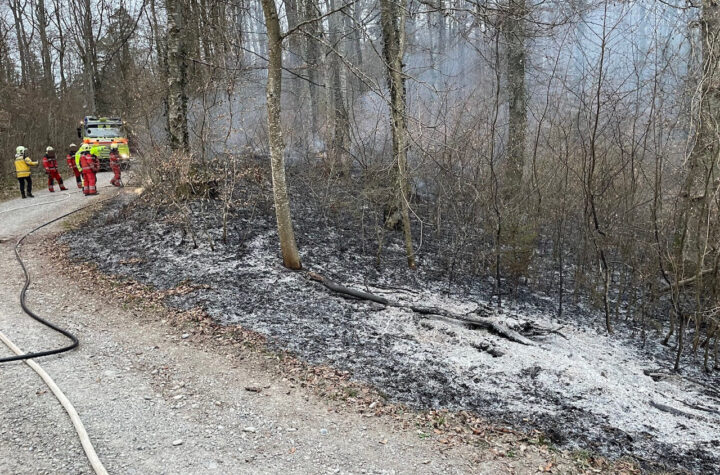 Oberneunforn (TG): Brand von Waldboden – Zeugenaufruf - LKW-News aktuell und informativ 2