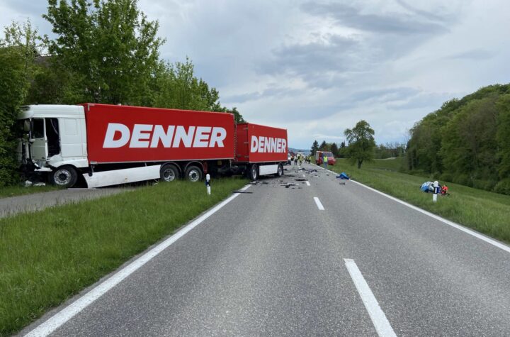 Hilfikon: Frontalkollision fordert Todesopfer - LKW-News aktuell und informativ