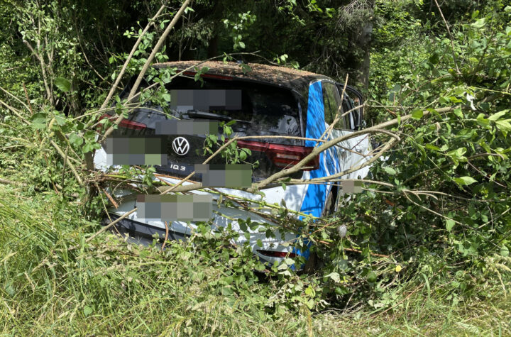 Lenzburg/A1: Selbstunfall – Wildschutzzaundurchbrochen - LKW-News aktuell und informativ