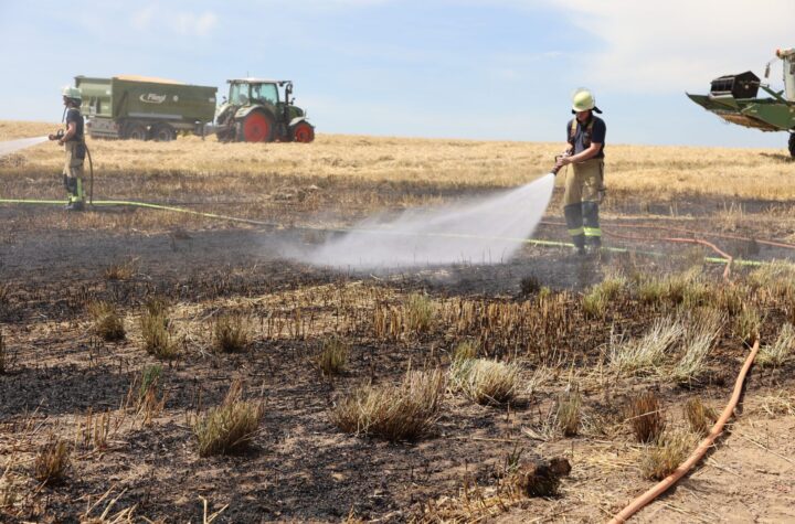 Heißgelaufene Bremse eines Mähdreschers entzündet 500 Quadratmeter Feld, Landwirt verhindert Übergreifen auf weitere Getreidefelder - LKW-News aktuell und informativ