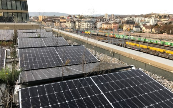 Bund fördert Photovoltaik-Anlagen von Transportunternehmen - LKW-News aktuell und informativ