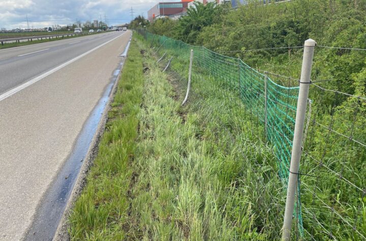 Neuendorf/Autobahn (A1): Wildschutzzaun beschädigt und sich nicht um die Schadenregulierung gekümmert (Zeugenaufruf)   - LKW-News aktuell und informativ
