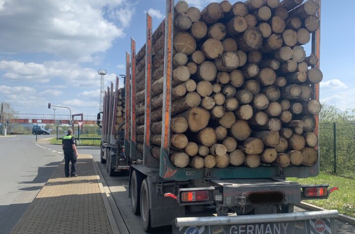 Saalfeld: Holztransporte rücken in den Fokus - LKW-News aktuell und informativ