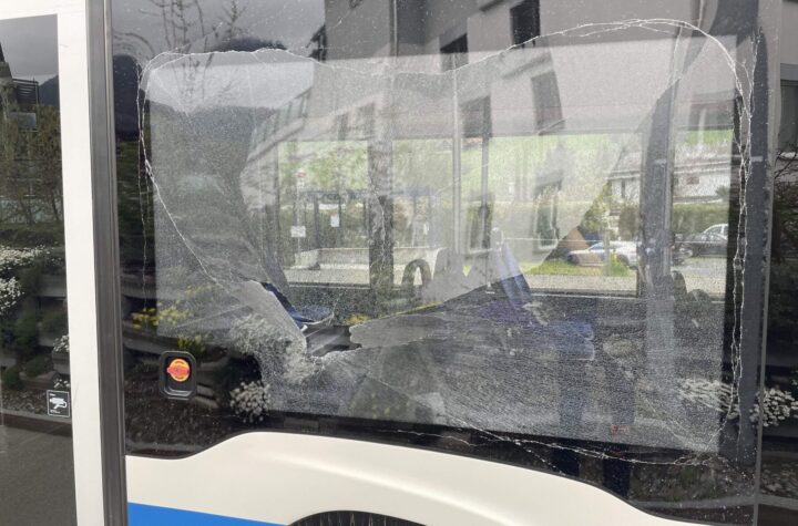 Sattel: Scheibe eines Linienbusses eingeschlagen - Zeugenaufruf - LKW-News aktuell und informativ 1