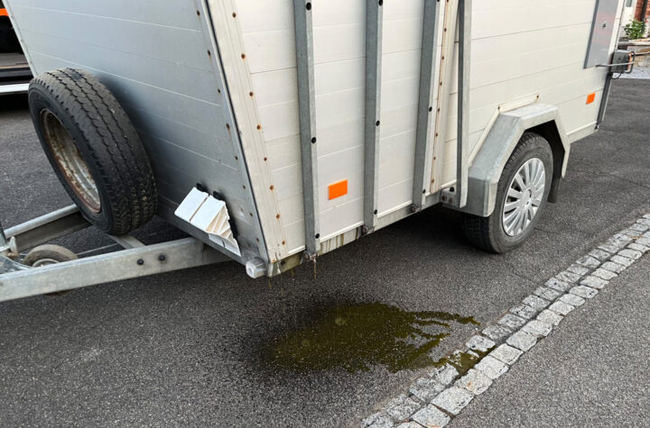 Thurgau: Tiertransporter kontrolliert - LKW-News aktuell und informativ