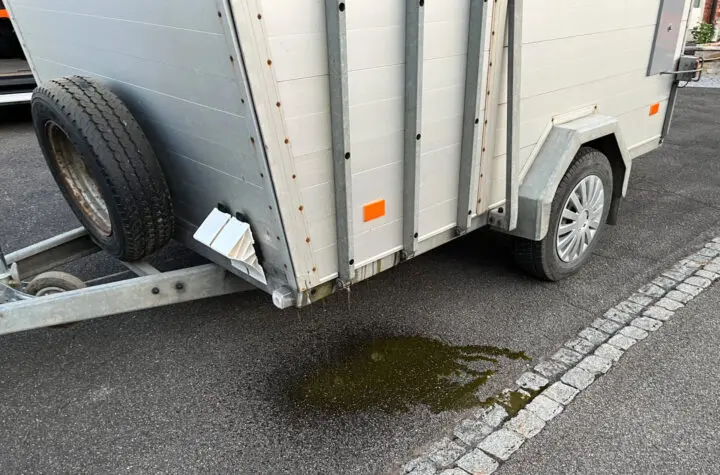 Thurgau: Tiertransporter kontrolliert - LKW-News aktuell und informativ